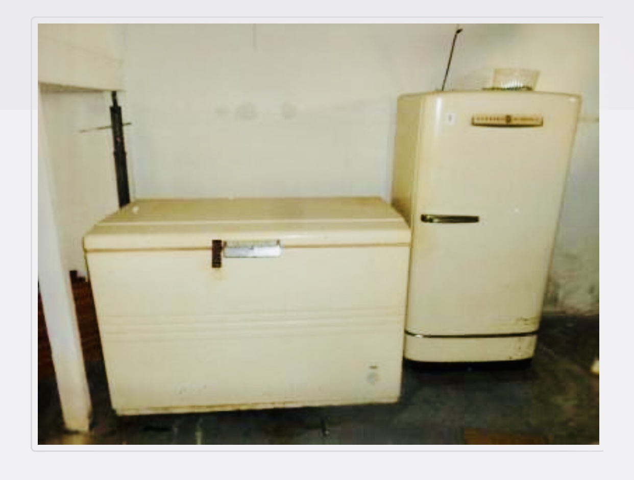 Antique Chest Freezers at Roberta Lowe blog